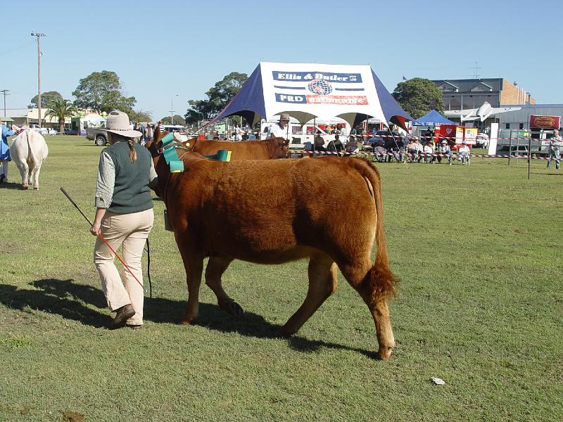 beef-week 073.jpg